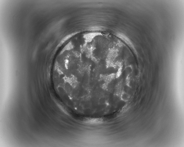 X0000084580155200703161747