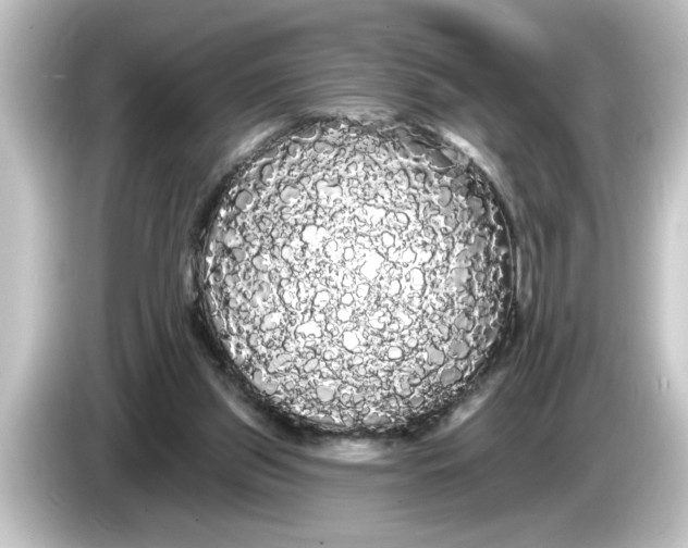 X0000084580157200703161747