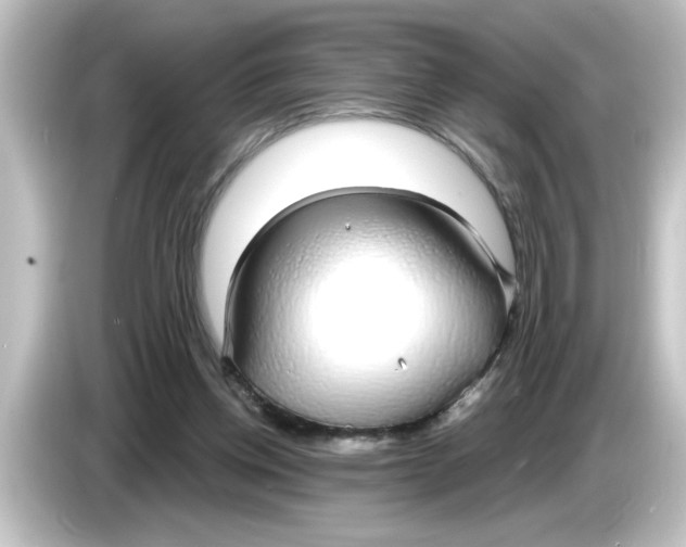 X0000084580158200703161747