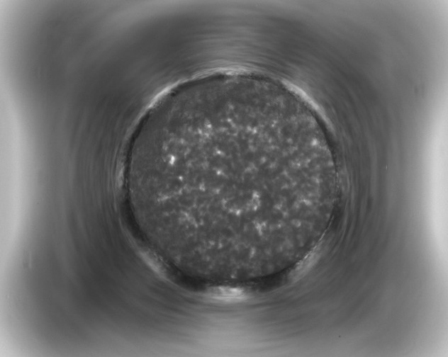X0000084580159200703161747