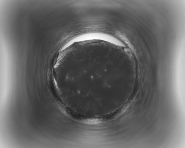 X0000084580161200703161747