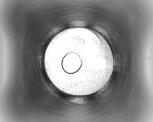 X0000084580162200703161747