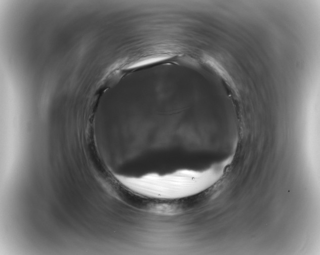 X0000084580163200703161747