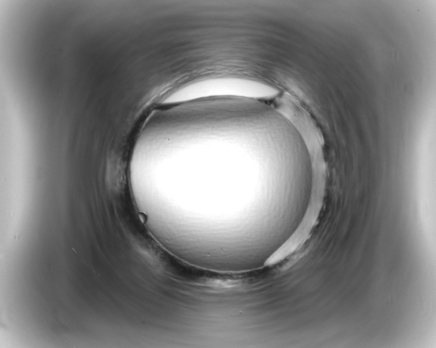 X0000084580164200703161747