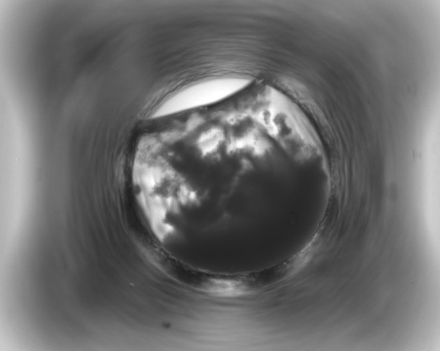 X0000084580167200703161747