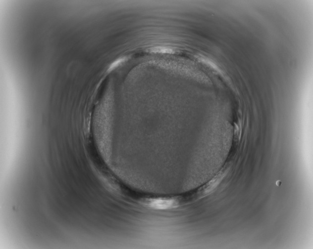 X0000084580168200703161747
