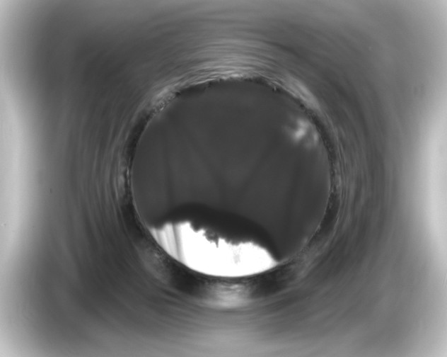 X0000084580169200703161747