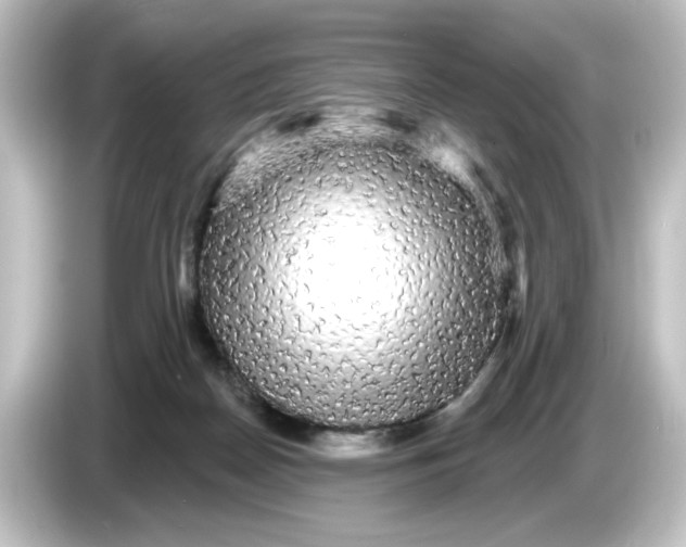 X0000084580170200703161747