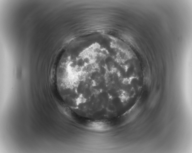 X0000084580171200703161747