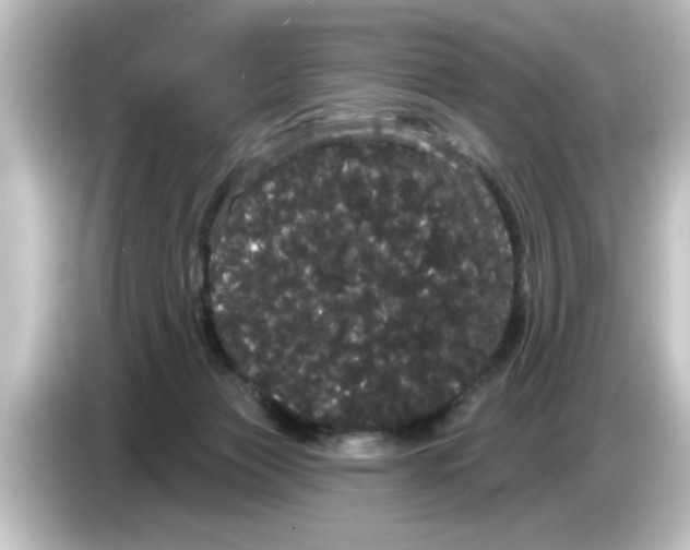 X0000084580173200703161747