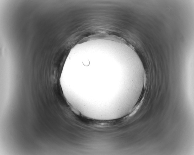 X0000084580174200703161747