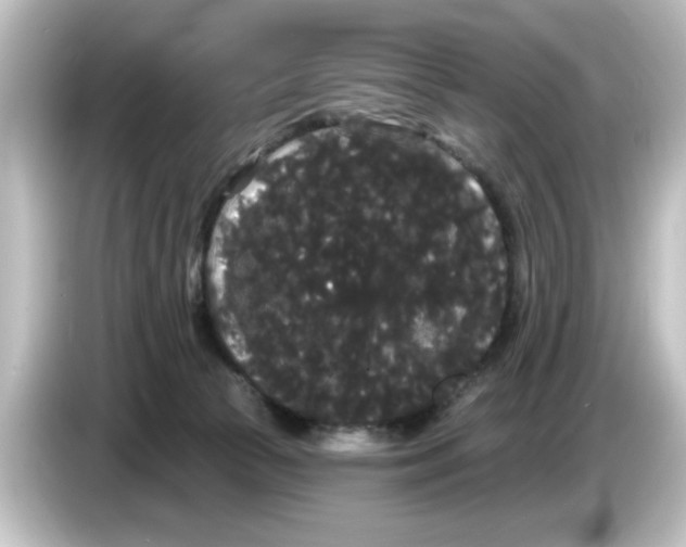 X0000084580177200703161747