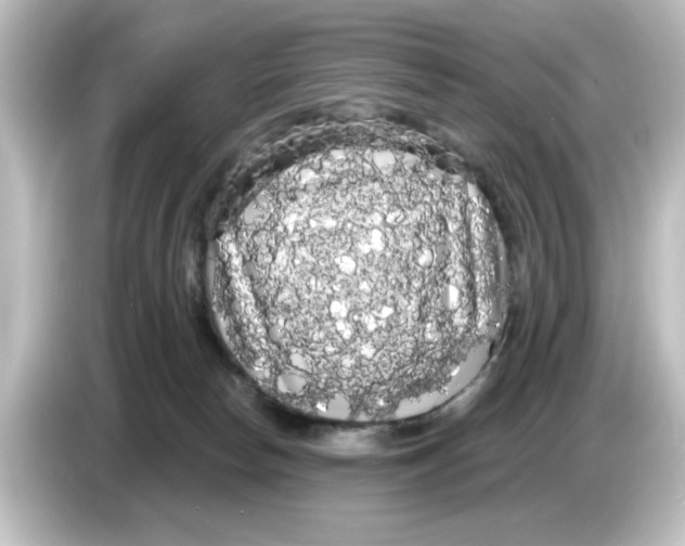 X0000084580178200703161747