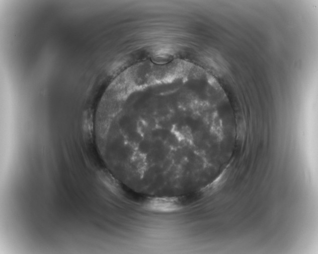 X0000084580179200703161747