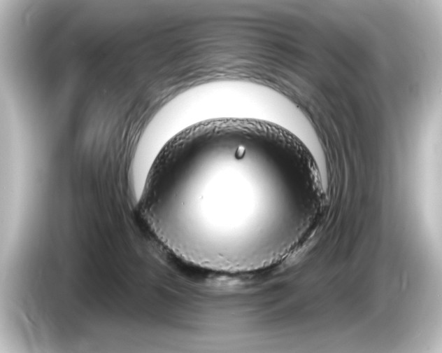 X0000084580180200703161747