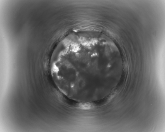 X0000084580181200703161747