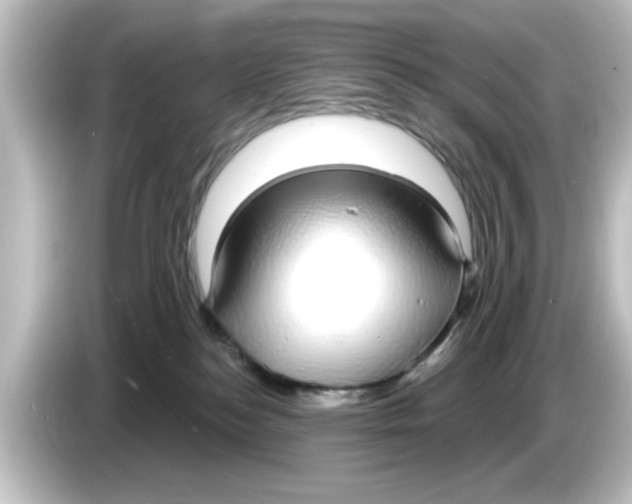 X0000084580184200703161747