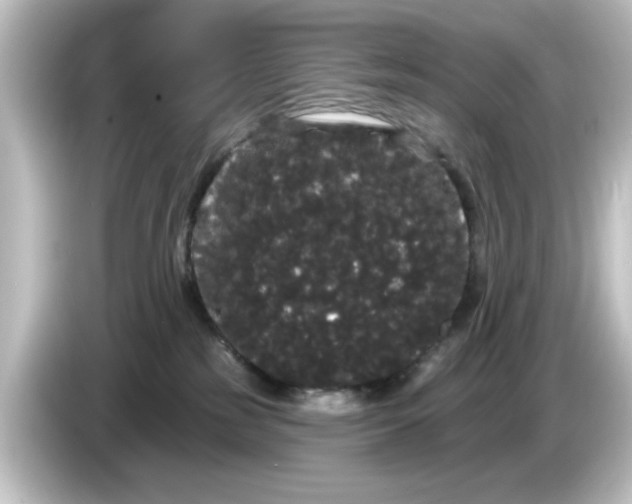 X0000084580185200703161747