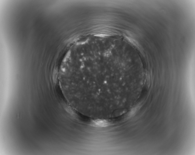 X0000084580189200703161747
