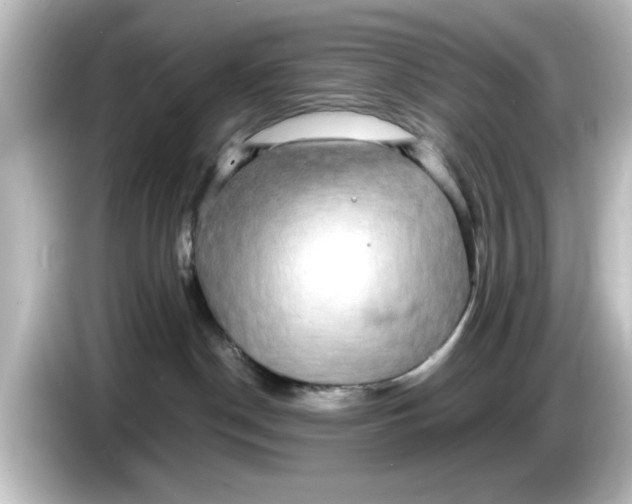 X0000084580190200703161747