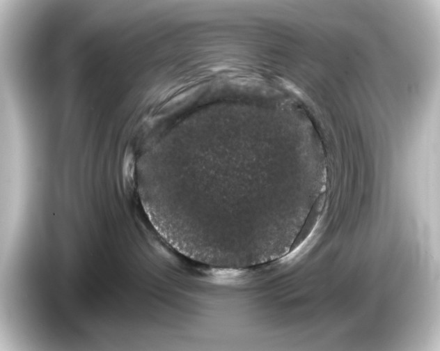 X0000084580192200703161747