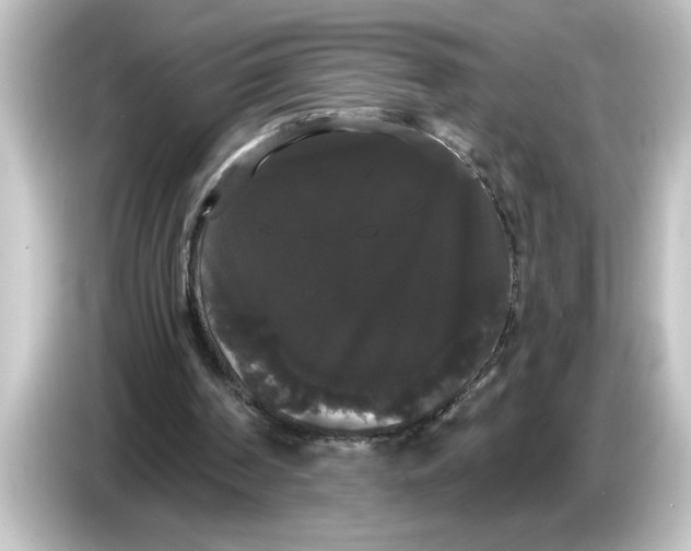 X0000084580194200703161747