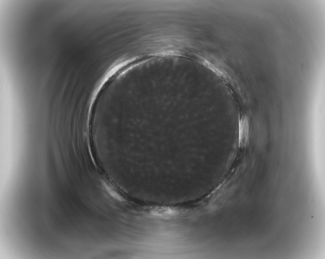 X0000084580195200703161747