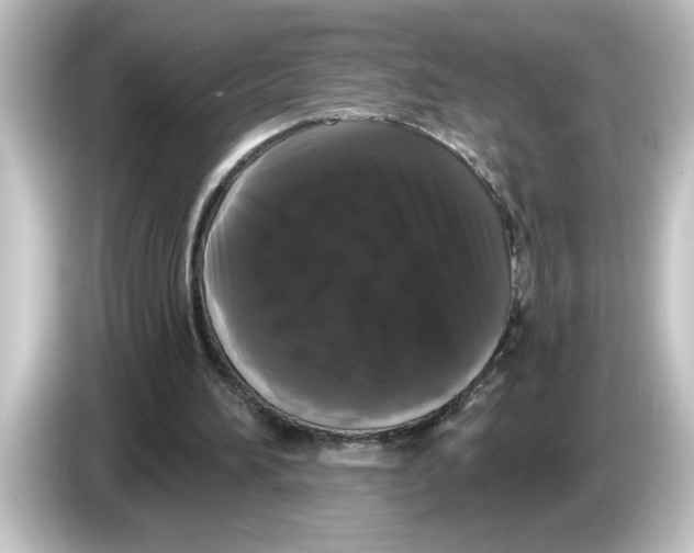 X0000084580196200703161747