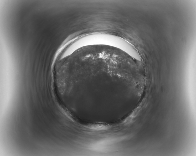 X0000084580198200703161747