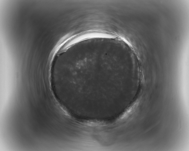 X0000084580199200703161747