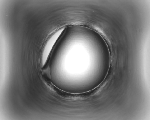 X0000084580201200703161747