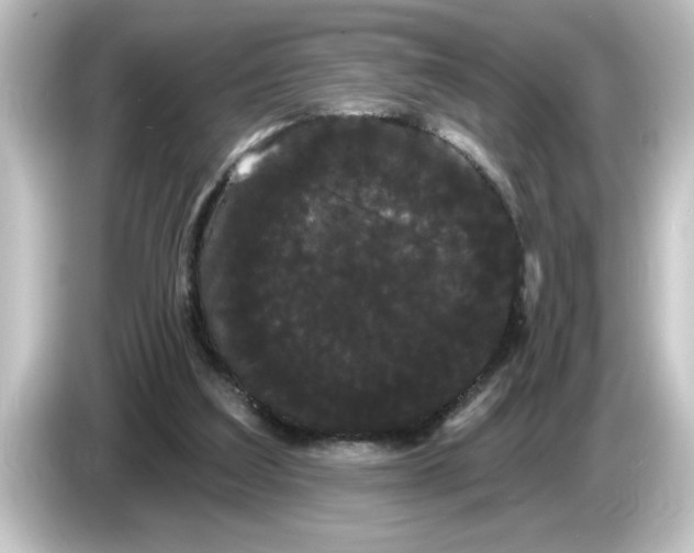 X0000084580203200703161747
