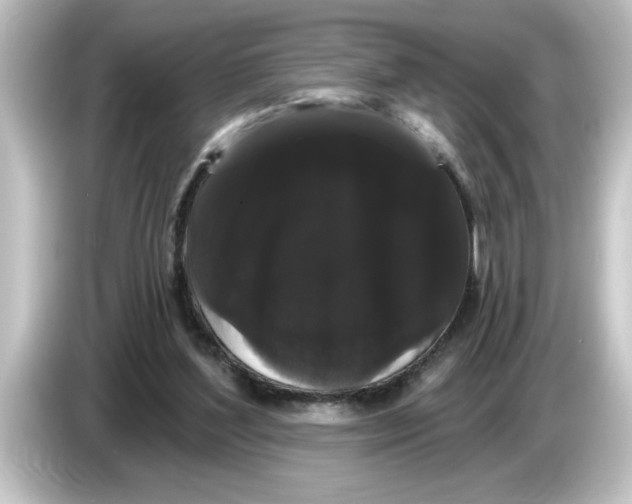 X0000084580204200703161747
