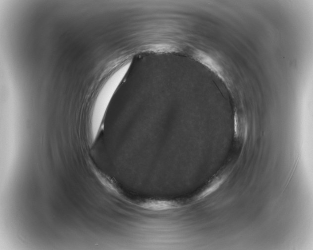 X0000084580205200703161747
