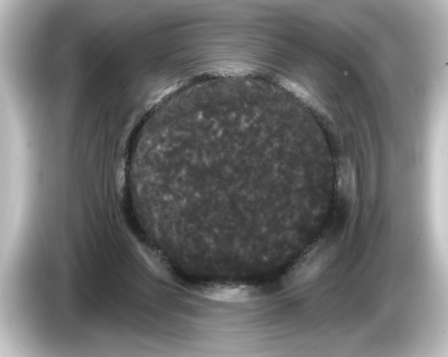 X0000084580206200703161747