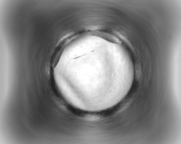 X0000084580207200703161747