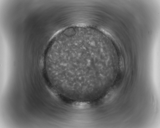 X0000084580208200703161747
