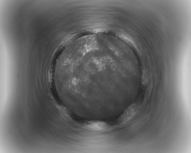 X0000084580210200703161747