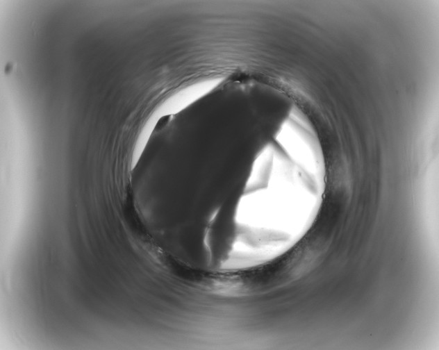 X0000084580214200703161747