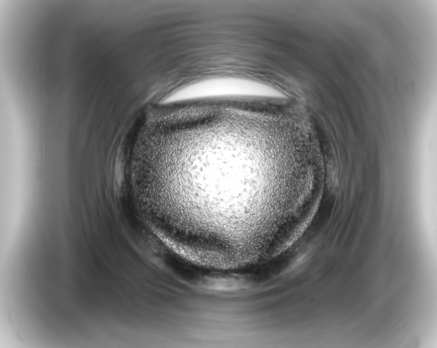 X0000084580215200703161747
