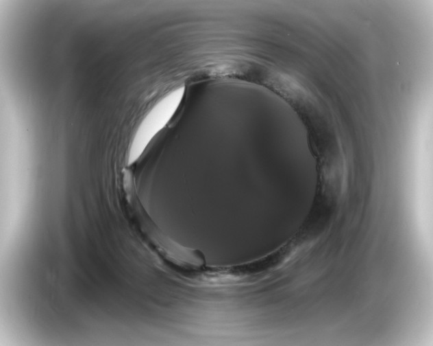 X0000084580219200703161746