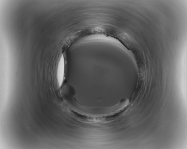 X0000084580223200703161746