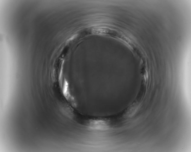 X0000084580224200703161746