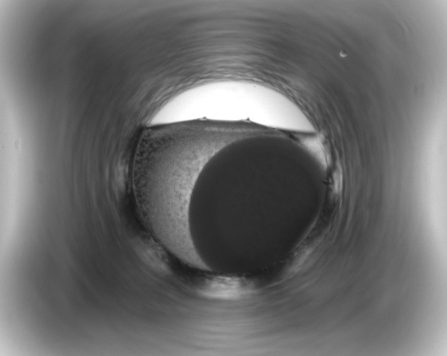 X0000084580227200703161746