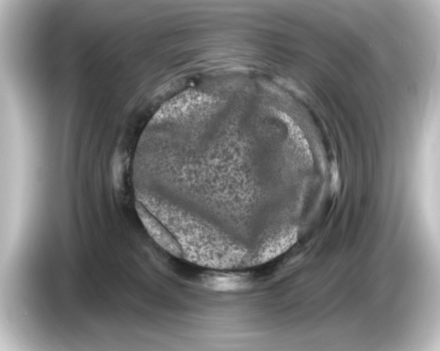 X0000084580229200703161746