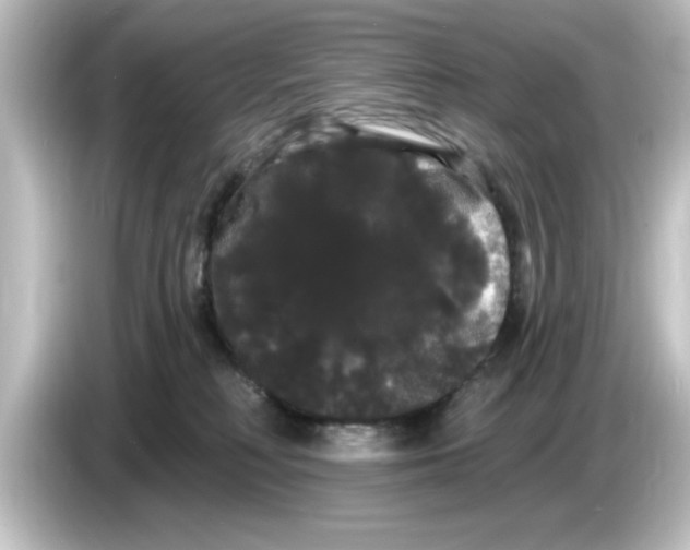 X0000084580230200703161746