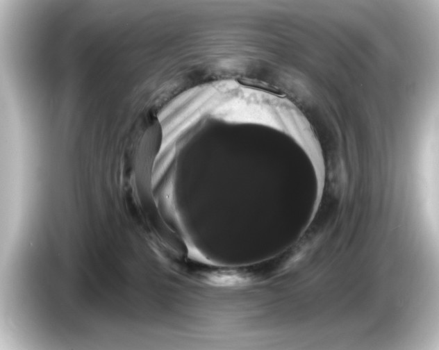 X0000084580231200703161746