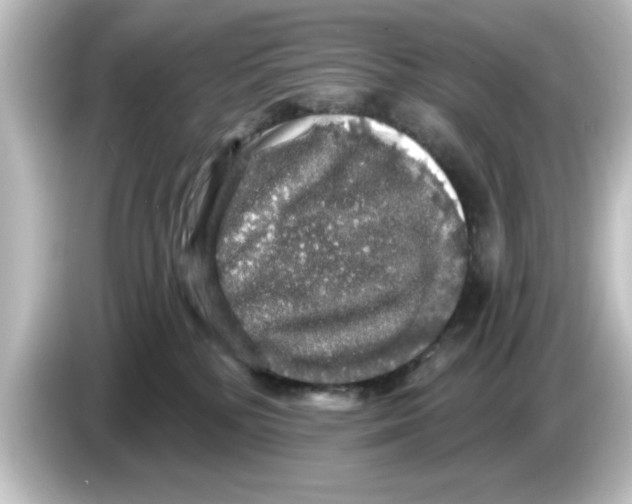 X0000084580232200703161746