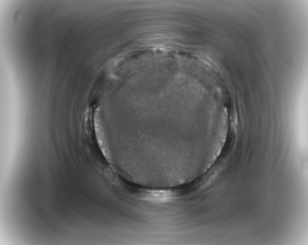X0000084580233200703161746