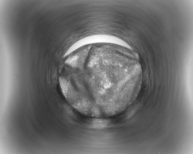 X0000084580234200703161746